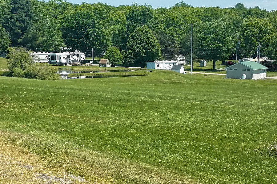 Grassy Area Overlooking Campsites at Belden Hill Campground