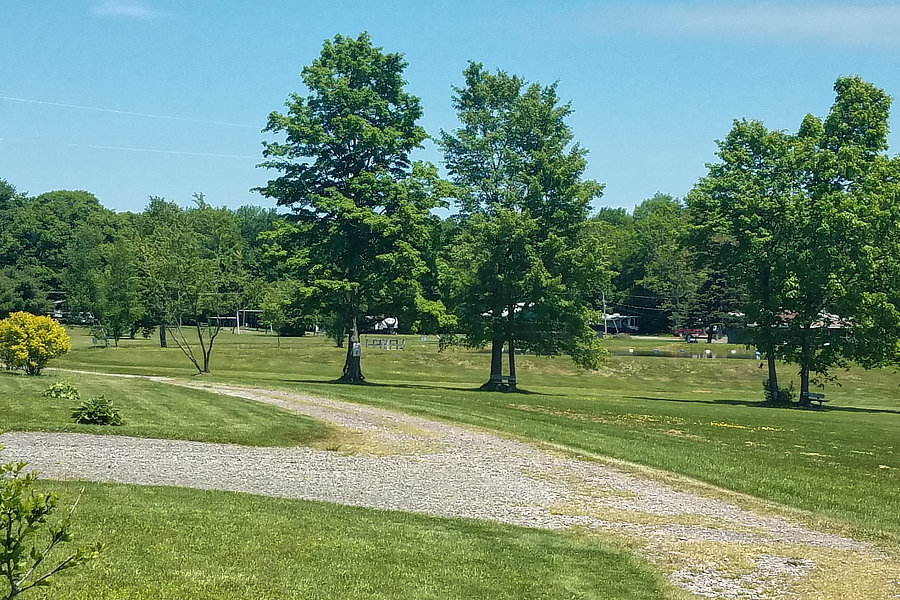 Landscaping at Belden Hill Campground