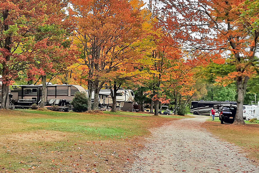 Fall Campsites at Belden Hill Campground